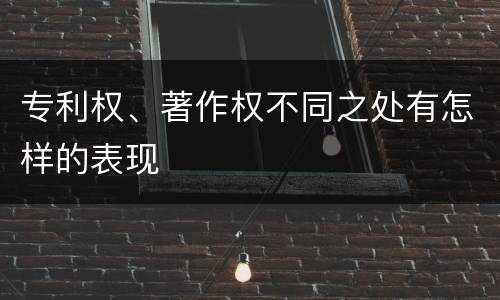 专利权、著作权不同之处有怎样的表现
