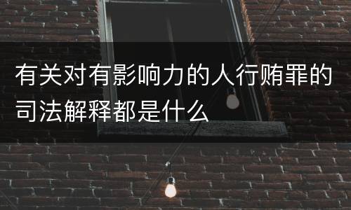 有关对有影响力的人行贿罪的司法解释都是什么