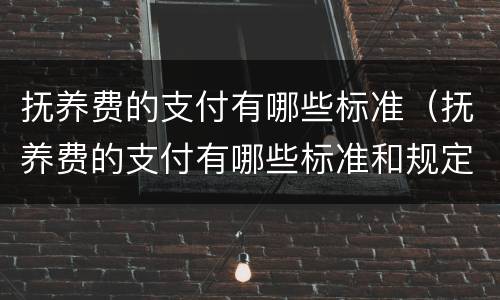 抚养费的支付有哪些标准（抚养费的支付有哪些标准和规定）