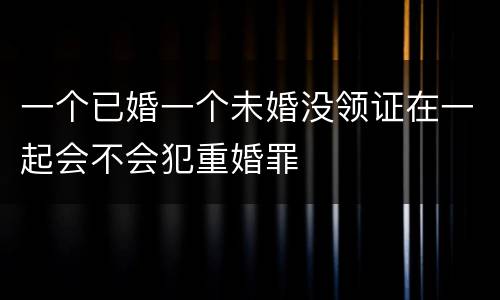 一个已婚一个未婚没领证在一起会不会犯重婚罪