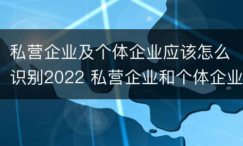 私营企业及个体企业应该怎么识别2022 私营企业和个体企业