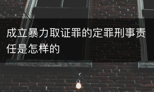 成立暴力取证罪的定罪刑事责任是怎样的