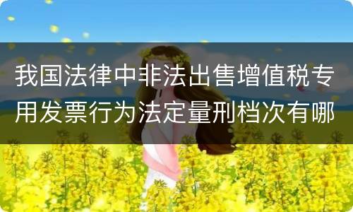 我国法律中非法出售增值税专用发票行为法定量刑档次有哪些
