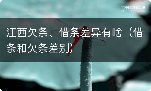 江西欠条、借条差异有啥（借条和欠条差别）