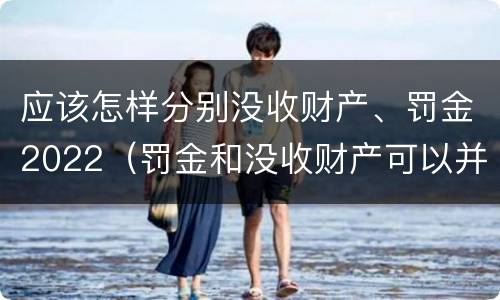应该怎样分别没收财产、罚金2022（罚金和没收财产可以并处吗）