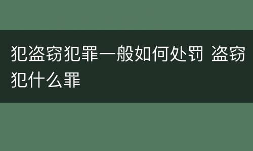 犯盗窃犯罪一般如何处罚 盗窃犯什么罪
