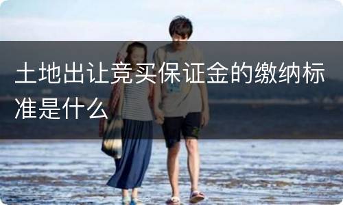 土地出让竞买保证金的缴纳标准是什么