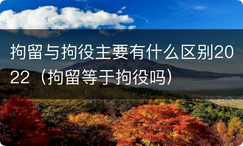 拘留与拘役主要有什么区别2022（拘留等于拘役吗）