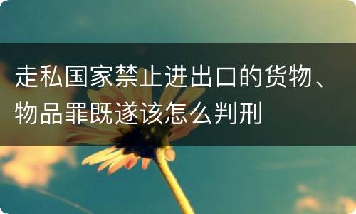 走私国家禁止进出口的货物、物品罪既遂该怎么判刑
