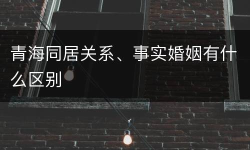 青海同居关系、事实婚姻有什么区别