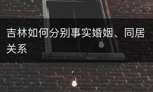 吉林如何分别事实婚姻、同居关系