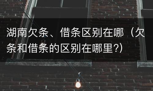 湖南欠条、借条区别在哪（欠条和借条的区别在哪里?）