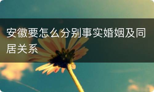 安徽要怎么分别事实婚姻及同居关系