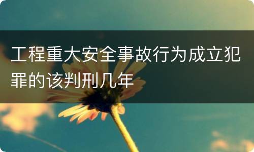 工程重大安全事故行为成立犯罪的该判刑几年