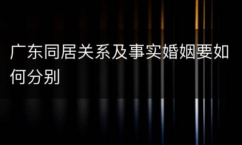 广东同居关系及事实婚姻要如何分别