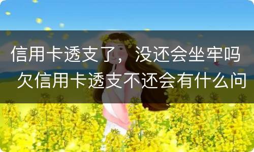 信用卡透支了，没还会坐牢吗 欠信用卡透支不还会有什么问题