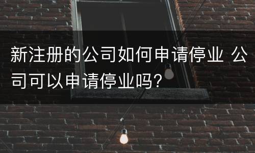 新注册的公司如何申请停业 公司可以申请停业吗?