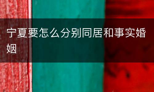宁夏要怎么分别同居和事实婚姻