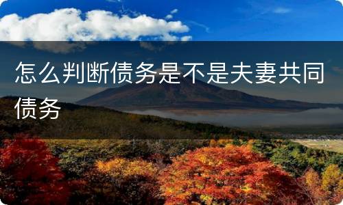 怎么判断债务是不是夫妻共同债务