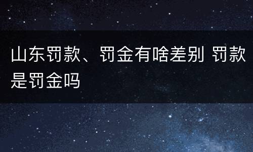山东罚款、罚金有啥差别 罚款是罚金吗