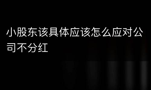 小股东该具体应该怎么应对公司不分红