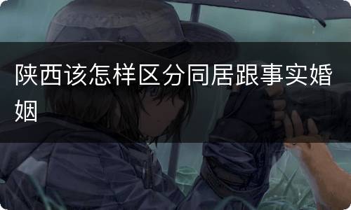 陕西该怎样区分同居跟事实婚姻
