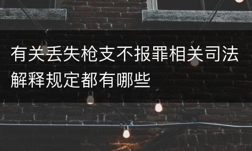 有关丢失枪支不报罪相关司法解释规定都有哪些