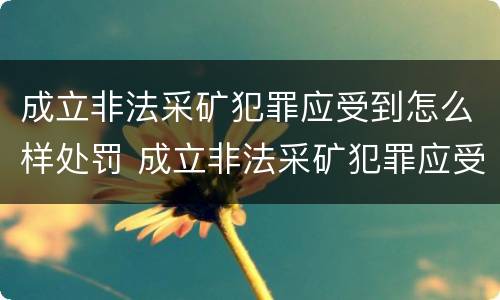 成立非法采矿犯罪应受到怎么样处罚 成立非法采矿犯罪应受到怎么样处罚和处罚