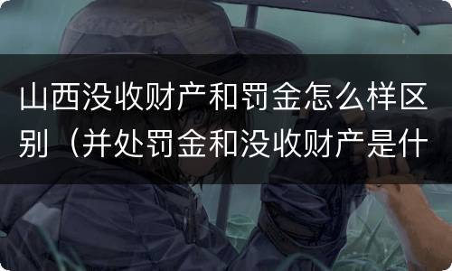 山西没收财产和罚金怎么样区别（并处罚金和没收财产是什么意思）