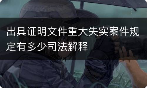 出具证明文件重大失实案件规定有多少司法解释