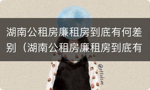 湖南公租房廉租房到底有何差别（湖南公租房廉租房到底有何差别呢）