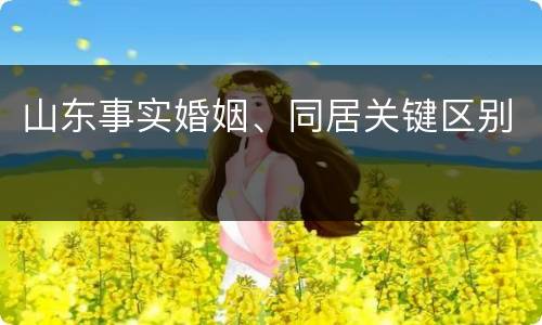 山东事实婚姻、同居关键区别