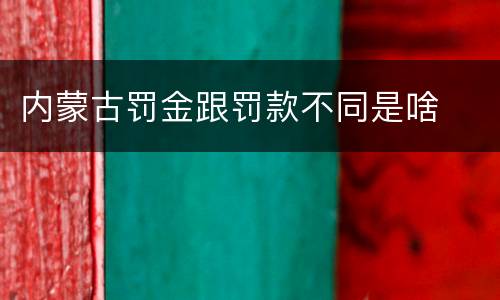 内蒙古罚金跟罚款不同是啥