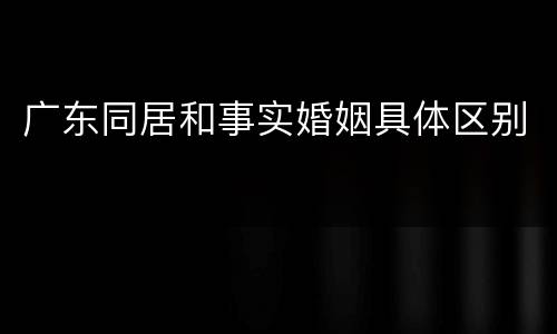 广东同居和事实婚姻具体区别