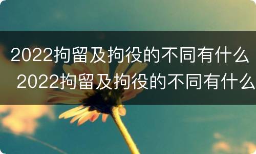 2022拘留及拘役的不同有什么 2022拘留及拘役的不同有什么区别