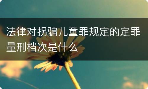 法律对拐骗儿童罪规定的定罪量刑档次是什么