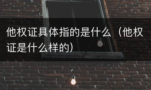 他权证具体指的是什么（他权证是什么样的）