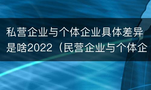 私营企业与个体企业具体差异是啥2022（民营企业与个体企业的区别）