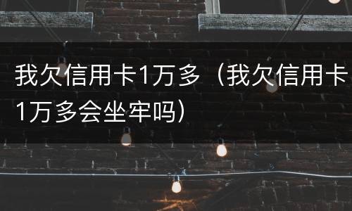 我欠信用卡1万多（我欠信用卡1万多会坐牢吗）