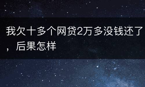 我欠十多个网贷2万多没钱还了，后果怎样