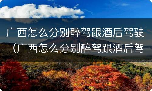 广西怎么分别醉驾跟酒后驾驶（广西怎么分别醉驾跟酒后驾驶的人）