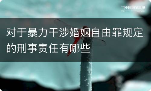 对于暴力干涉婚姻自由罪规定的刑事责任有哪些