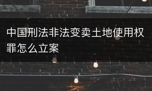 中国刑法非法变卖土地使用权罪怎么立案