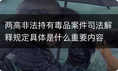 两高非法持有毒品案件司法解释规定具体是什么重要内容