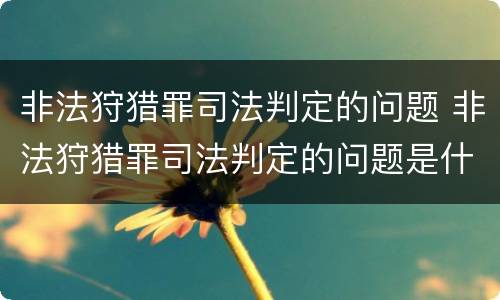 非法狩猎罪司法判定的问题 非法狩猎罪司法判定的问题是什么