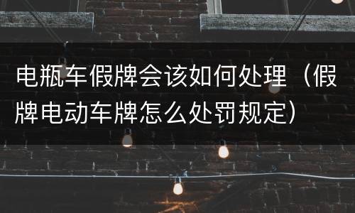 电瓶车假牌会该如何处理（假牌电动车牌怎么处罚规定）