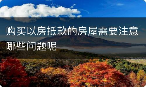购买以房抵款的房屋需要注意哪些问题呢
