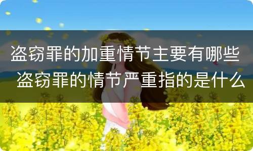 盗窃罪的加重情节主要有哪些 盗窃罪的情节严重指的是什么