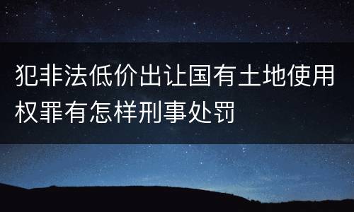 犯非法低价出让国有土地使用权罪有怎样刑事处罚