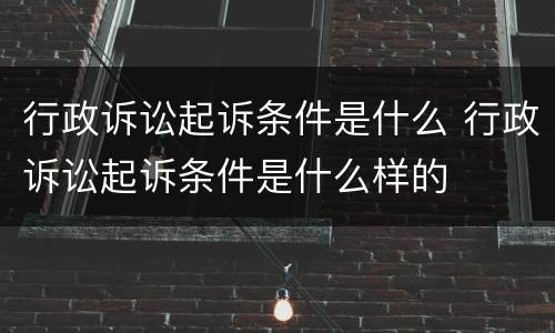 行政诉讼起诉条件是什么 行政诉讼起诉条件是什么样的